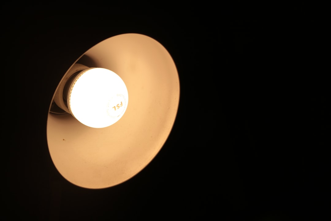Photo LED pendant light