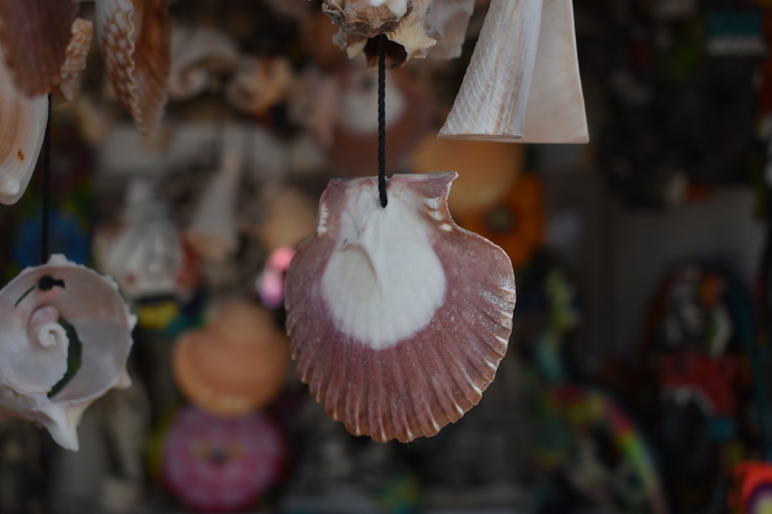Photo Capiz Shell Chandelier